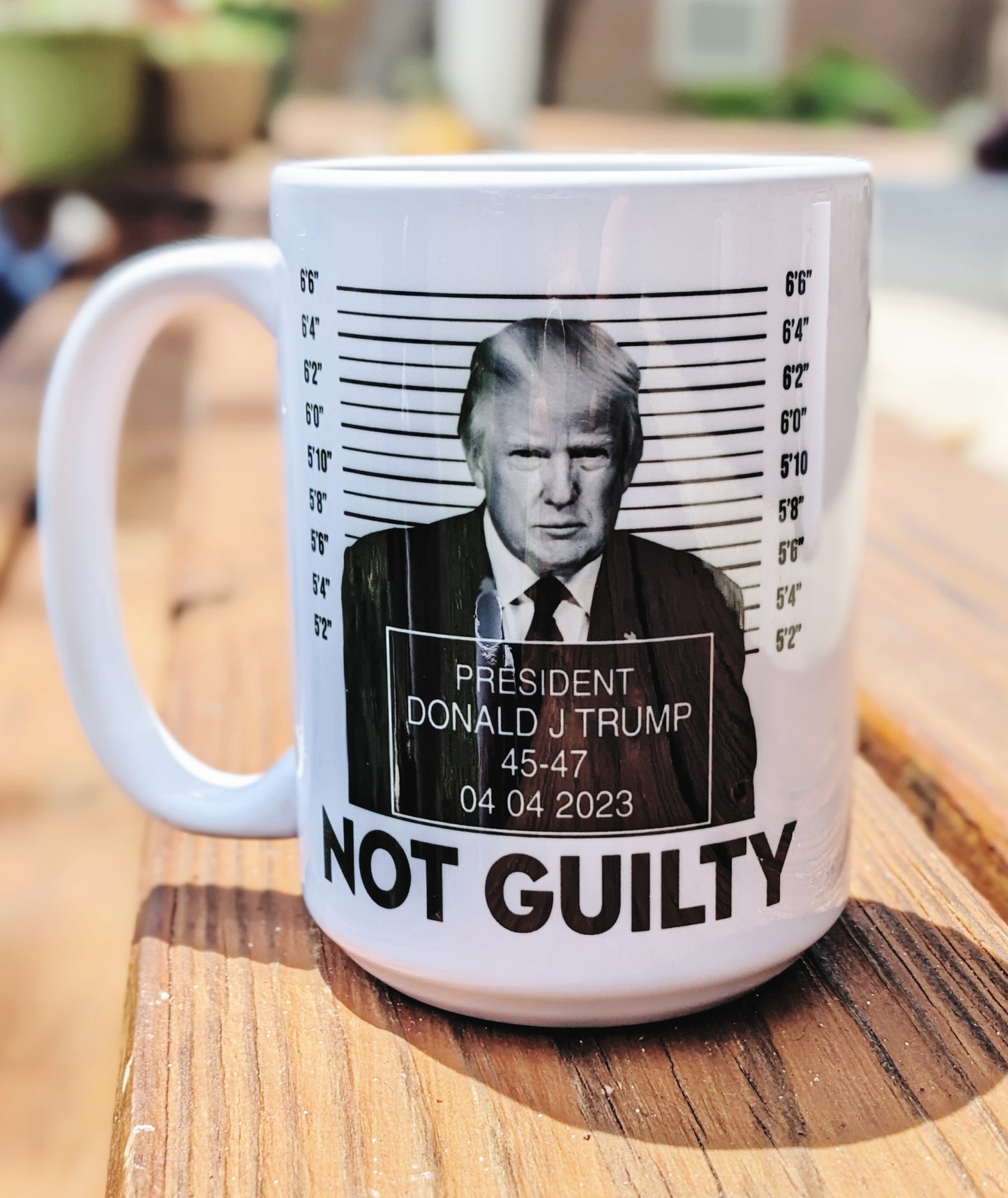 Trump- Not Guilty Mug